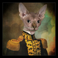 Digital Background by Tara Mapes